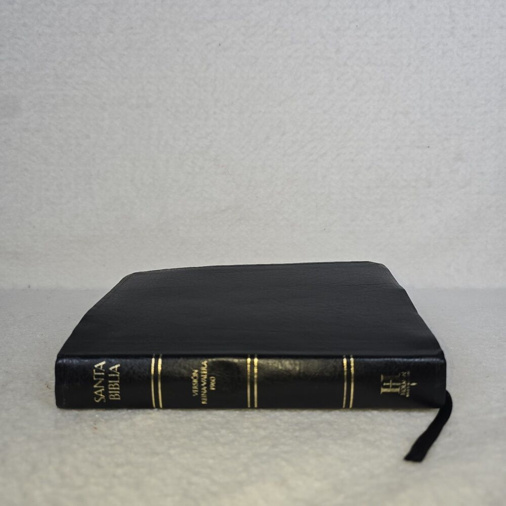 Santa Biblia 1960 KJV Letra Grande Reina Valera HOLMAN Spanish Edition Bible